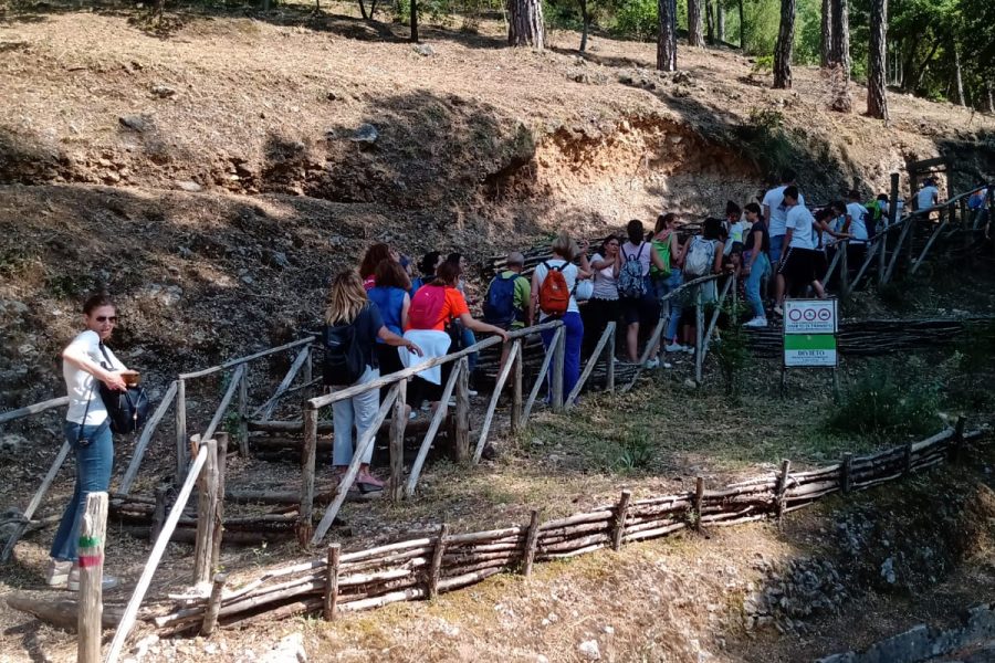 Ritorna la passeggiata tra i monti monrealesi.